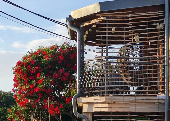 Marein Vakantiehuis *