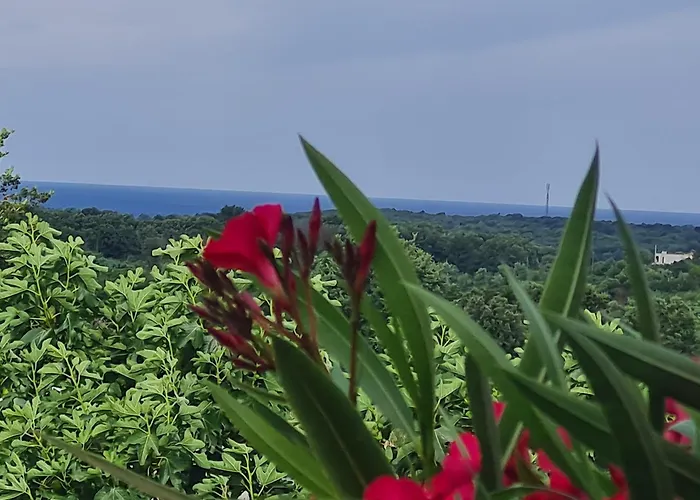 Vikendica Marein Porec